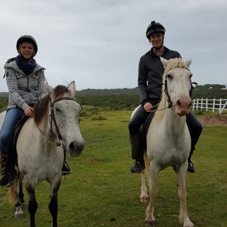 Supertubes, Plettenberg Bay und Knysna