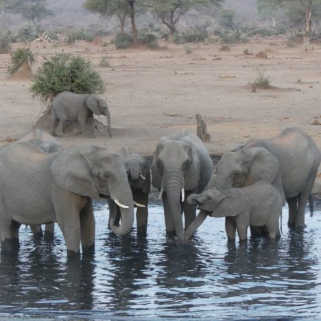Victoria Falls in Simbabwe