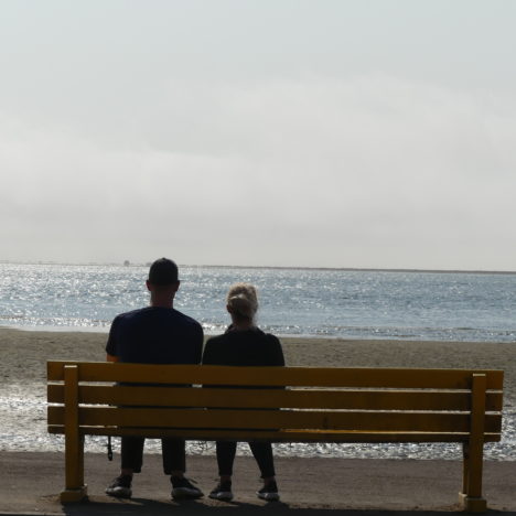 Mittagessen mit Elefanten am Brandberg