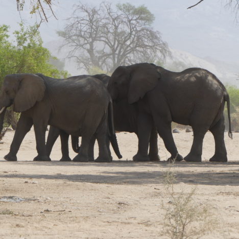 Swakopmund – Eine Stadt mitten in der Wüste