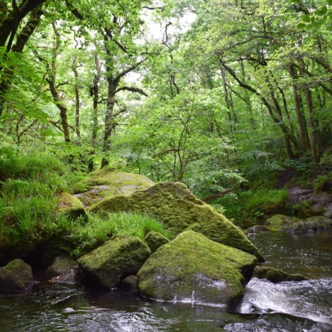 Rocky Horror Cornwall Show