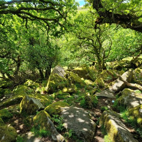 Bis zum Dachboden und noch viel weiter!