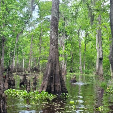 Auf den Spuren der Sklaverei