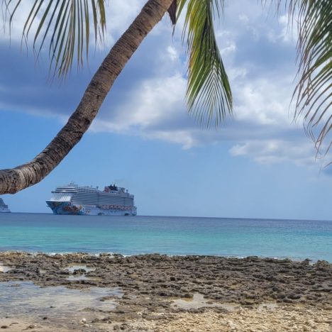 Plastiktütenromantik