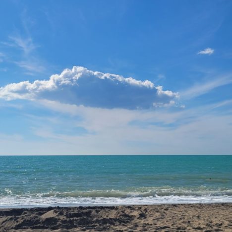 Paradies in den Weinbergen