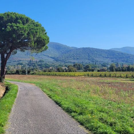 Alle Atzen Singen…